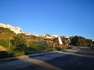 CAÑUELO 5
