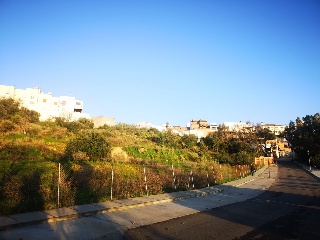 CAÑUELO 6