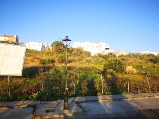 CAÑUELO 7
