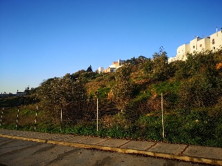 CAÑUELO 8