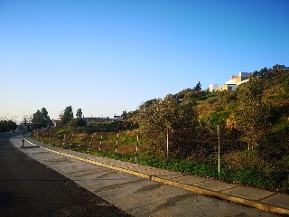 CAÑUELO 9