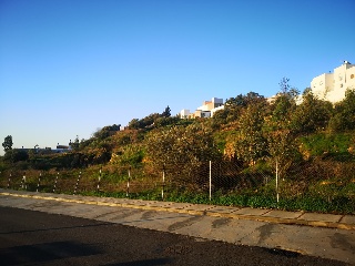 CAÑUELO 11
