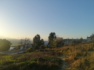 CAÑUELO 12