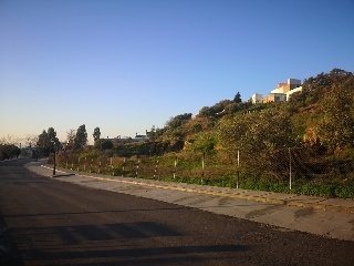 CAÑUELO 13