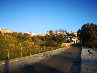 CAÑUELO 14