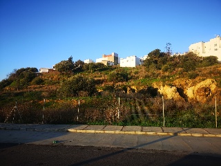 CAÑUELO 15