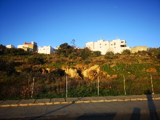 CAÑUELO 16