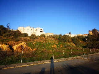 CAÑUELO 17