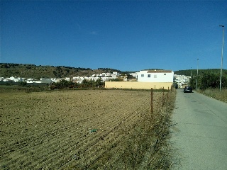 SITIO EL PALMAR, COSTADO DE LA ASOMADILLA 2