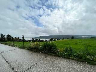 SITIO EL PALMAR, COSTADO DE LA ASOMADILLA 4