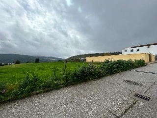 SITIO EL PALMAR, COSTADO DE LA ASOMADILLA 5