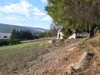 SITIO EL PALMAR, COSTADO DE LA ASOMADILLA 7