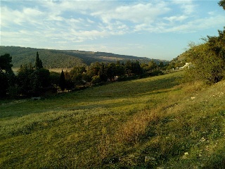 SITIO EL PALMAR, COSTADO DE LA ASOMADILLA 10