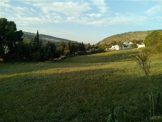 SITIO EL PALMAR, COSTADO DE LA ASOMADILLA 11