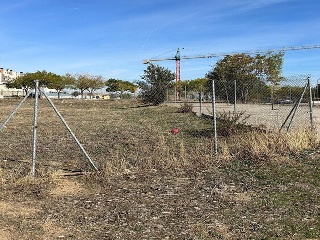 DEL VALLE 6