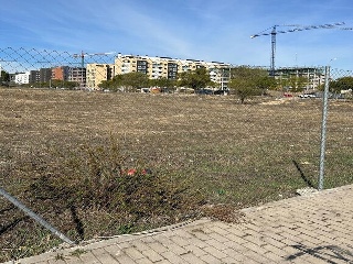 DEL VALLE 7