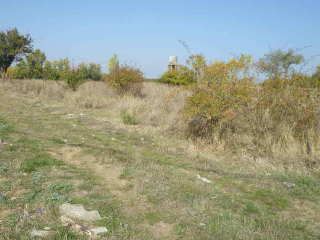 PARAJE TRAS EL PRADO NUEVO, POLIGONO 5, PARCELA 6