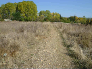 PARAJE TRAS EL PRADO NUEVO, POLIGONO 5, PARCELA 8