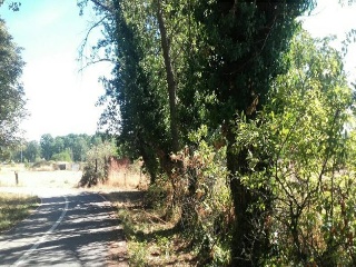 PARAJE TRAS EL PRADO NUEVO, POLIGONO 5, PARCELA 9