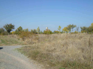 PARAJE TRAS EL PRADO NUEVO, POLIGONO 5, PARCELA 10