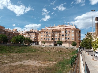 CERVANTES 6