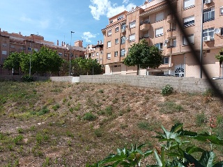 CERVANTES 7