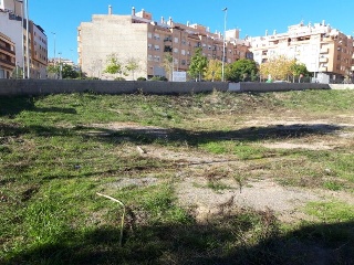 CERVANTES 8