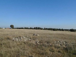 SU-14 (POLIGONO 7) 9