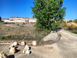 SU-14 (POLIGONO 7) 11
