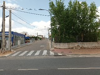 REAL 6