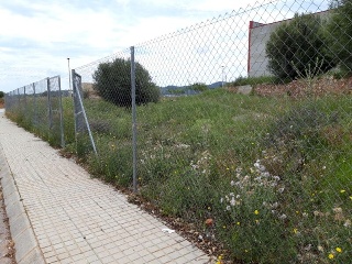 ILLES COLUMBRETES 2