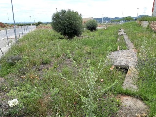 ILLES COLUMBRETES 3