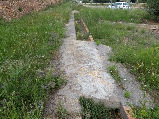 ILLES COLUMBRETES 5