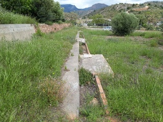 ILLES COLUMBRETES 6
