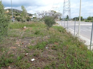 ILLES COLUMBRETES 7