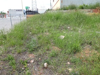 ILLES COLUMBRETES 8