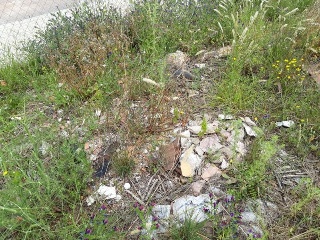 ILLES COLUMBRETES 9