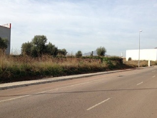 ILLES COLUMBRETES 12