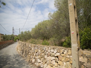 Camí del Llorito, 114- Polígono 5 4