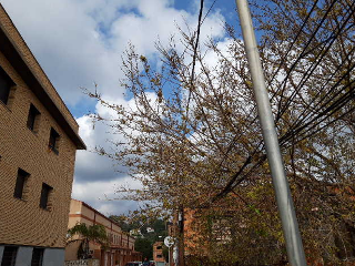 Otros en venta en Riudecanyes