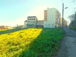 BARRO DO CAMPO 15