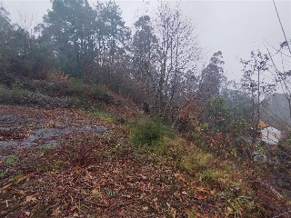 POUSADELA-TOMIÑO, POLIGONO 27, PARCELA 2