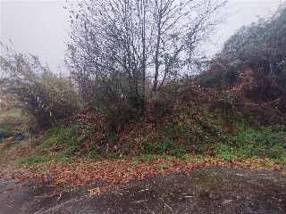 POUSADELA-TOMIÑO, POLIGONO 27, PARCELA 4