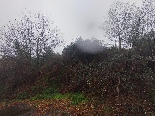 POUSADELA-TOMIÑO, POLIGONO 27, PARCELA 5