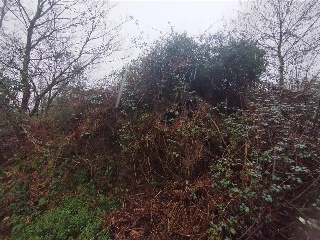 POUSADELA-TOMIÑO, POLIGONO 27, PARCELA 6