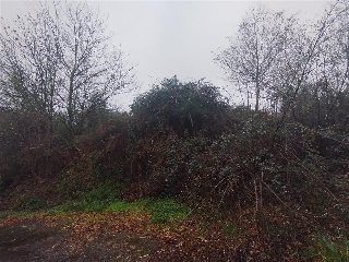 POUSADELA-TOMIÑO, POLIGONO 27, PARCELA 7