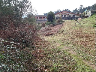 POUSADELA-TOMIÑO, POLIGONO 27, PARCELA 11