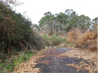 POUSADELA-TOMIÑO, POLIGONO 27, PARCELA 12