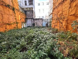 PEDROSO 6