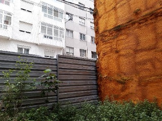 PEDROSO 8